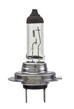 Load image into Gallery viewer, Hella Bulb H7 12V 55W PX26d T4.6 LONGLIFE - GTR Auto