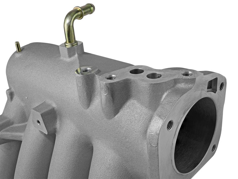 Skunk2 Pro Series 94-01 Honda/Acura B18C1 DOHC Intake Manifold (CARB Exempt) - GTR Auto