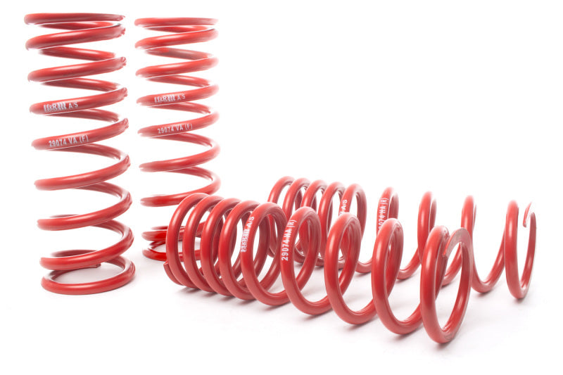 H&R 06-12 Ferrari 599 GTB F141 Sport Spring - GTR Auto