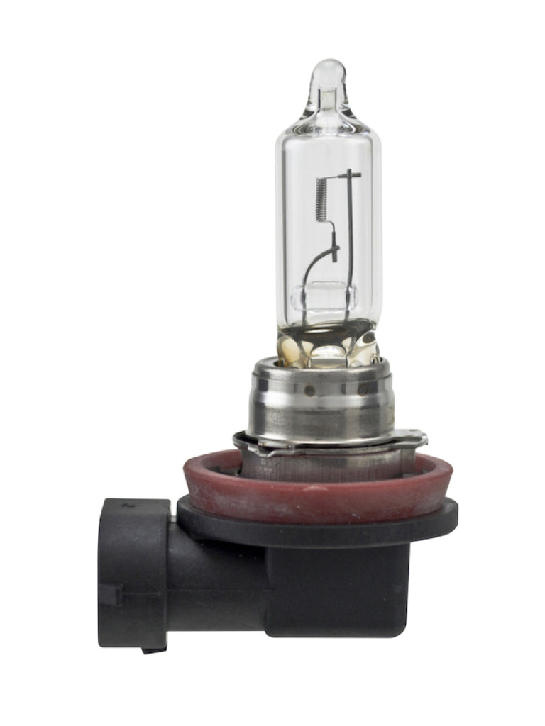 Hella Bulb H9 12V 65W Pgj195 T4 (2) - GTR Auto