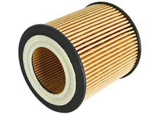 Load image into Gallery viewer, aFe Pro GUARD D2 Oil Filter 06-19 BMW Gas Cars L6-3.0T N54/55 - GTR Auto
