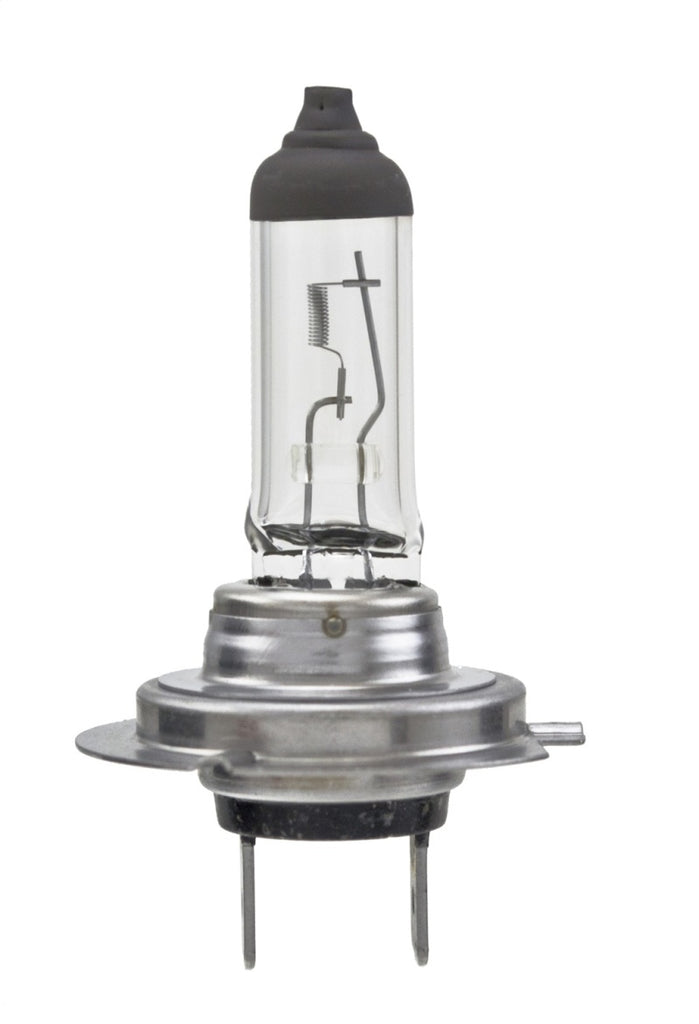 Hella Bulb H7 12V 55W PX26d T4.6 LONGLIFE - GTR Auto