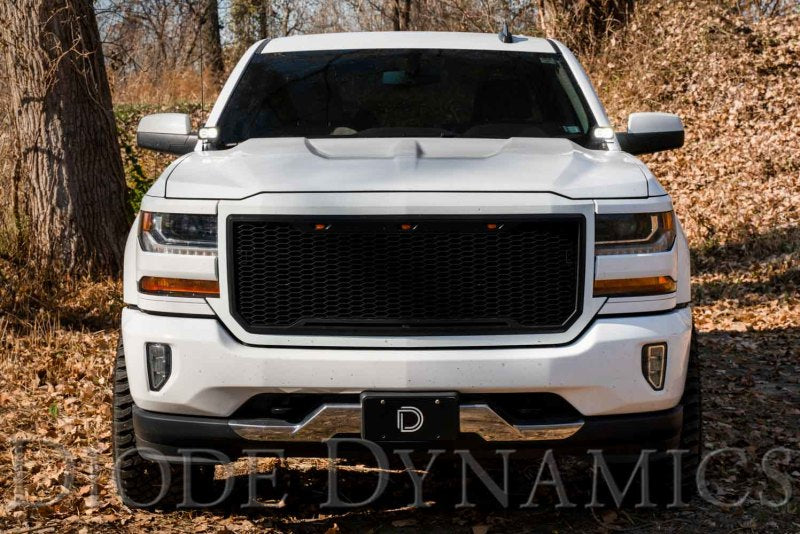 Diode Dynamics 14-19 Silverado/Sierra SS3 LED Ditch Light Kit - Pro White Combo - GTR Auto