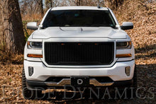 Load image into Gallery viewer, Diode Dynamics 14-19 Silverado/Sierra SS3 LED Ditch Light Kit - Pro White Combo - GTR Auto