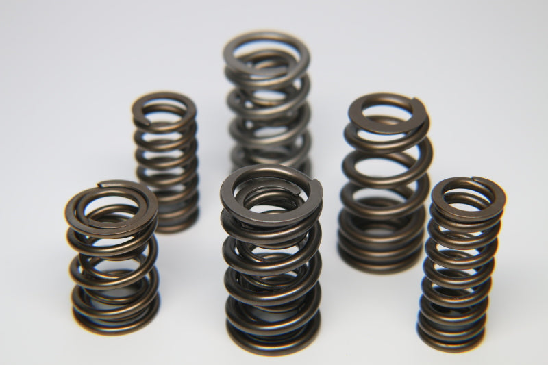 Ferrea Nissan KA24DE Dual Valve Spring - Set of 16 S10043