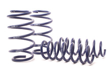 Load image into Gallery viewer, H&amp;R 11-17 BMW X3 F25 Sport Spring - GTR Auto