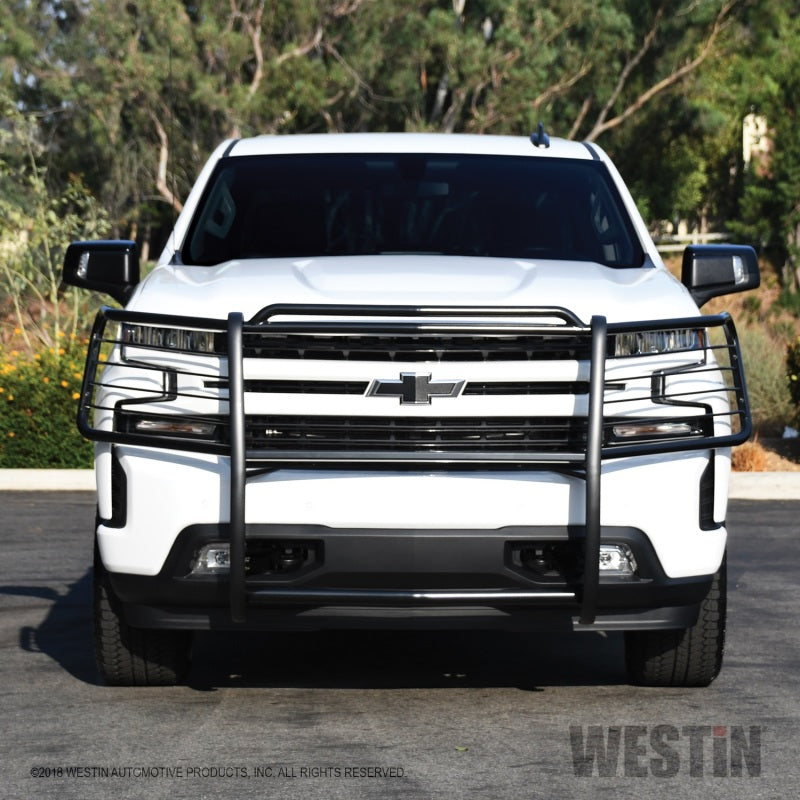 Westin 2019 Chevrolet Silverado 1500 Sportsman Grille Guard - Black - GTR Auto