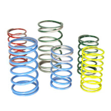 Load image into Gallery viewer, Tial Big Wastegate Spring (*Specify Spring Color*)