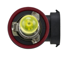 Load image into Gallery viewer, Hella Bulb H9 12V 65W XEN YLW - GTR Auto