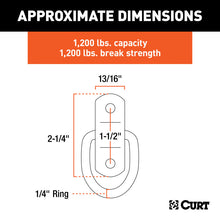 Load image into Gallery viewer, Curt 1in x 1-1/4in Surface-Mounted Tie-Down D-Ring (1200lbs Stainless)
