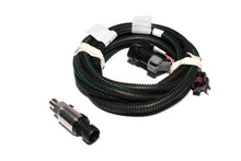 Load image into Gallery viewer, FAST Harness FAST Single PSI Sensor