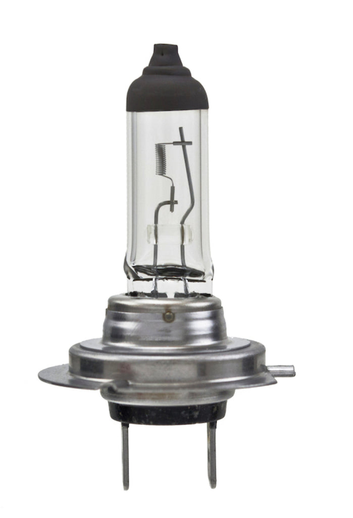 Hella Bulb H7 12V 55W PX26d T4.6 LONGLIFE - GTR Auto