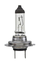 Load image into Gallery viewer, Hella Bulb H7 12V 55W PX26d T4.6 LONGLIFE - GTR Auto