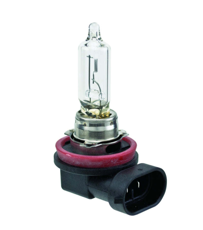Hella Bulb H9 12V 65W PGJ19-5 T4 - GTR Auto