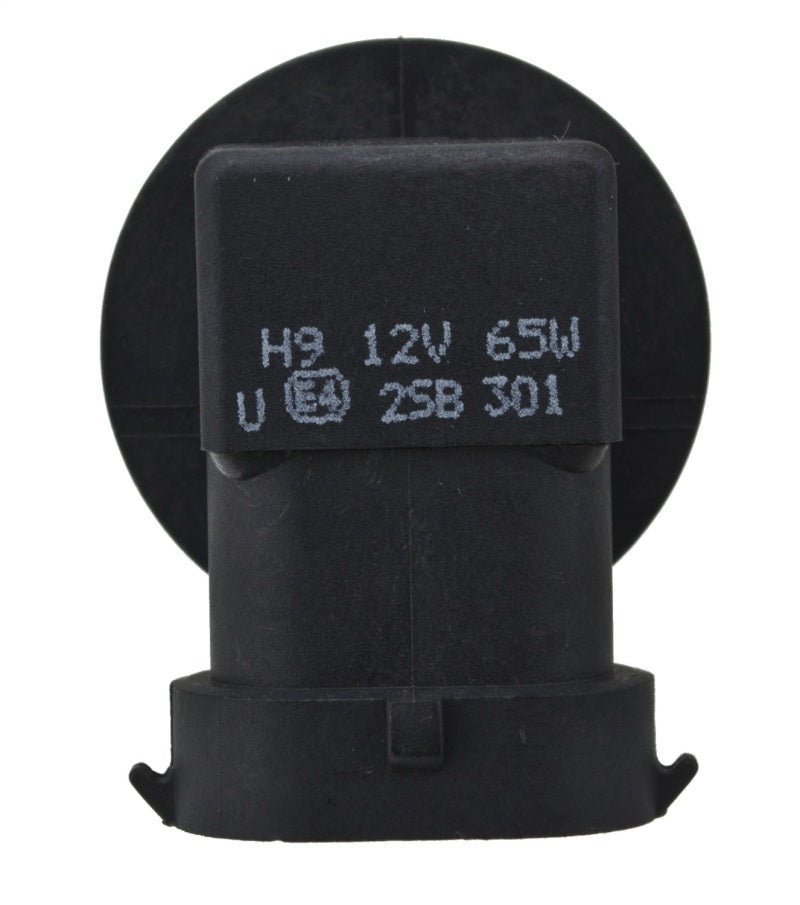Hella Bulb H9 12V 65W XEN YLW - GTR Auto
