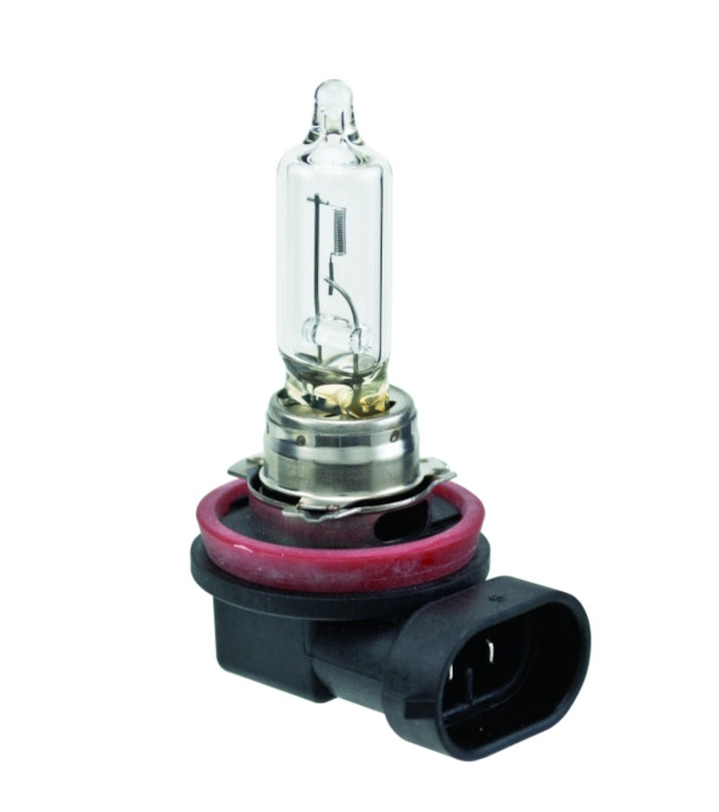 Hella Bulb H9 12V 65W PGJ19-5 T4 - GTR Auto