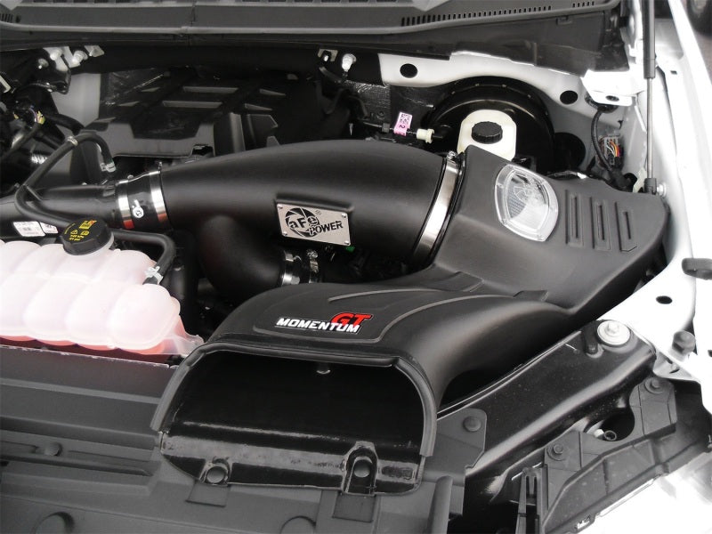 aFe Momentum GT Pro DRY S Intake System 2016 Ford F-150 EcoBoost V6-2.7L/3.5L (tt) - GTR Auto