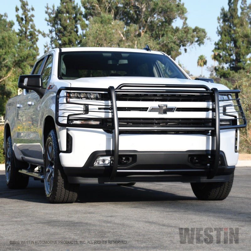 Westin 2019 Chevrolet Silverado 1500 Sportsman Grille Guard - Black - GTR Auto
