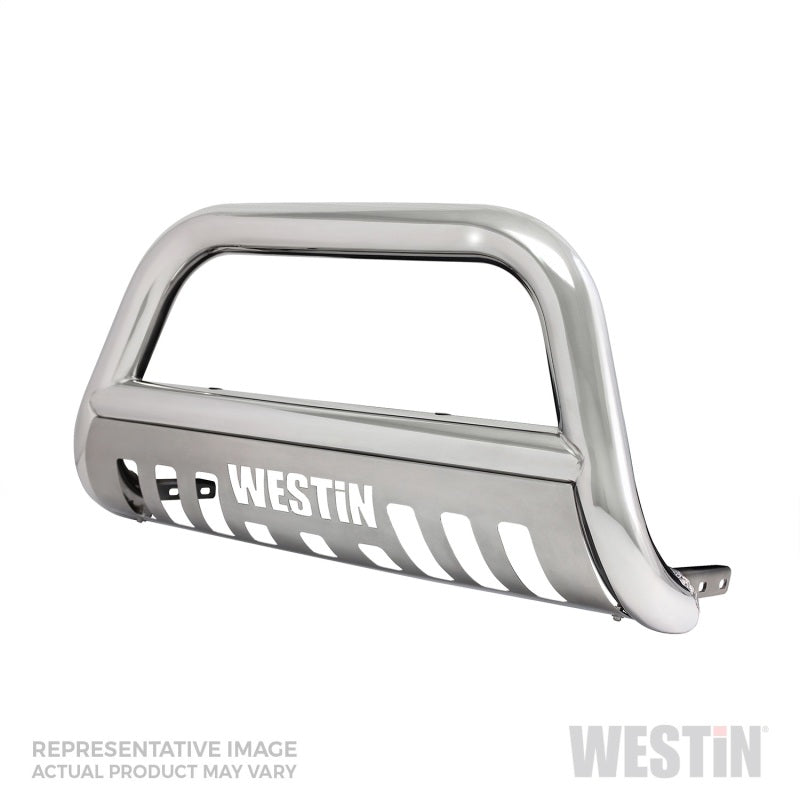 Westin 2017-2018 Ford F-250/350 E-Series Bull Bar - SS - GTR Auto