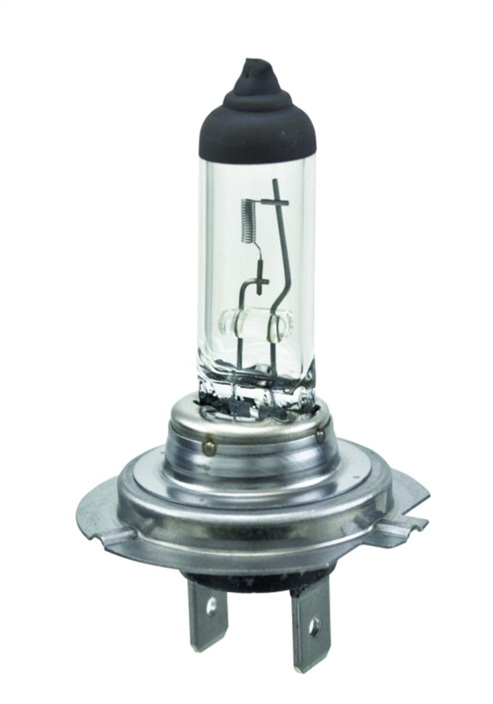 Hella Halogen H7 Bulb - GTR Auto