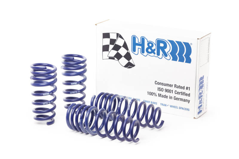 H&R 15-21 Mercedes-Benz AMG GT S Coupe C190 Sport Spring (Incl. w/AMG Ride Control) - GTR Auto