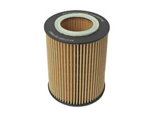 Load image into Gallery viewer, aFe Pro GUARD D2 Oil Filter 96-06 BMW Gas Cars L6 (4 Pack) - GTR Auto