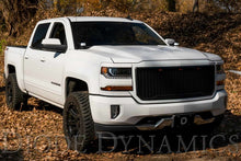 Load image into Gallery viewer, Diode Dynamics 14-19 Silverado/Sierra SS3 LED Ditch Light Kit - Pro White Combo - GTR Auto