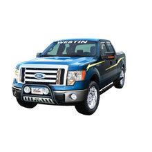 Load image into Gallery viewer, Westin 2004-2014 Ford F-150 (6.75 ft Bed)(Excl. Heritage Edition) Platinum Oval Bed Rails - SS - GTR Auto